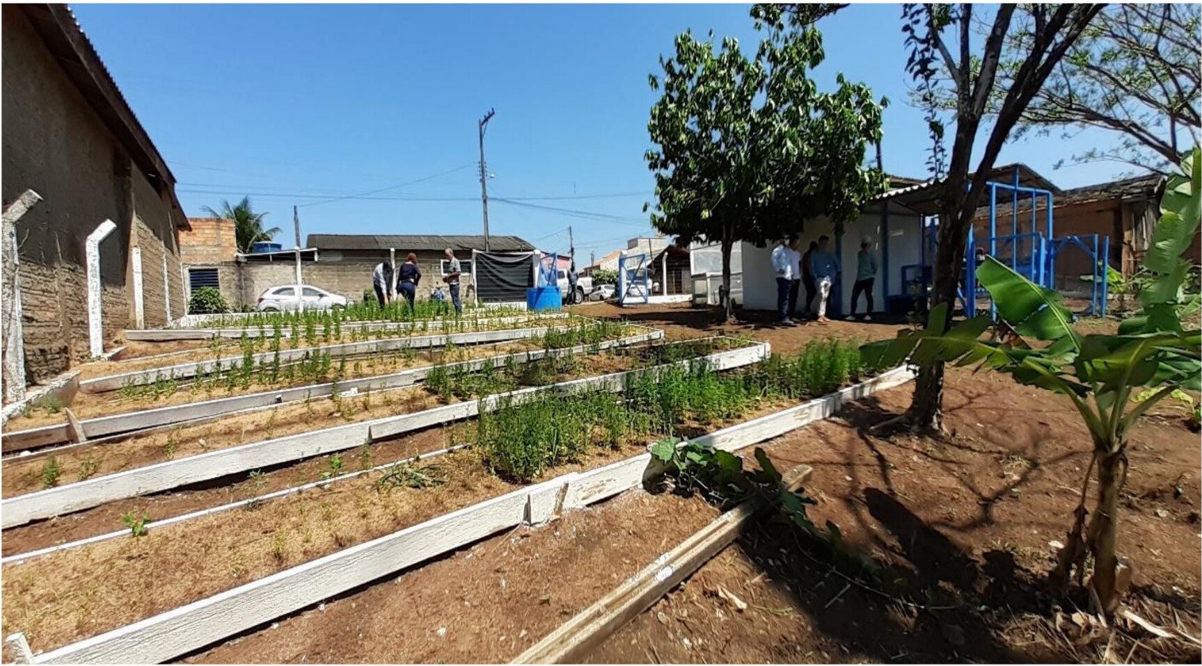 Horta comunitária no Bairro Mutirão — Ariquemes/RO